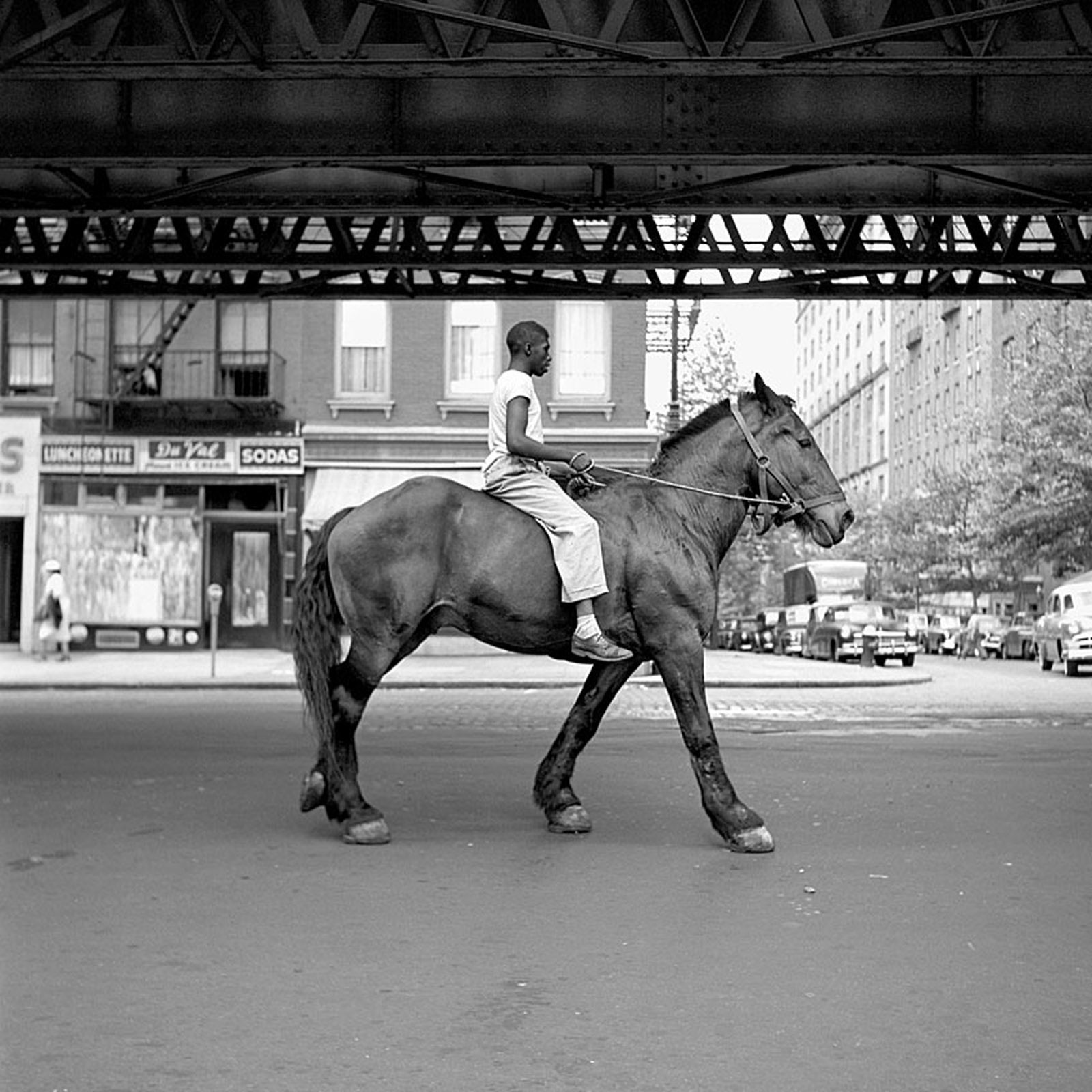New York, NY, August 11, 1954