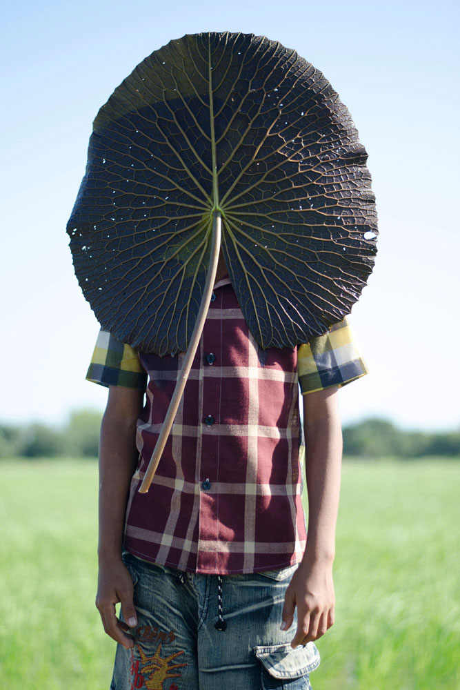 Leaf #6, 2014
