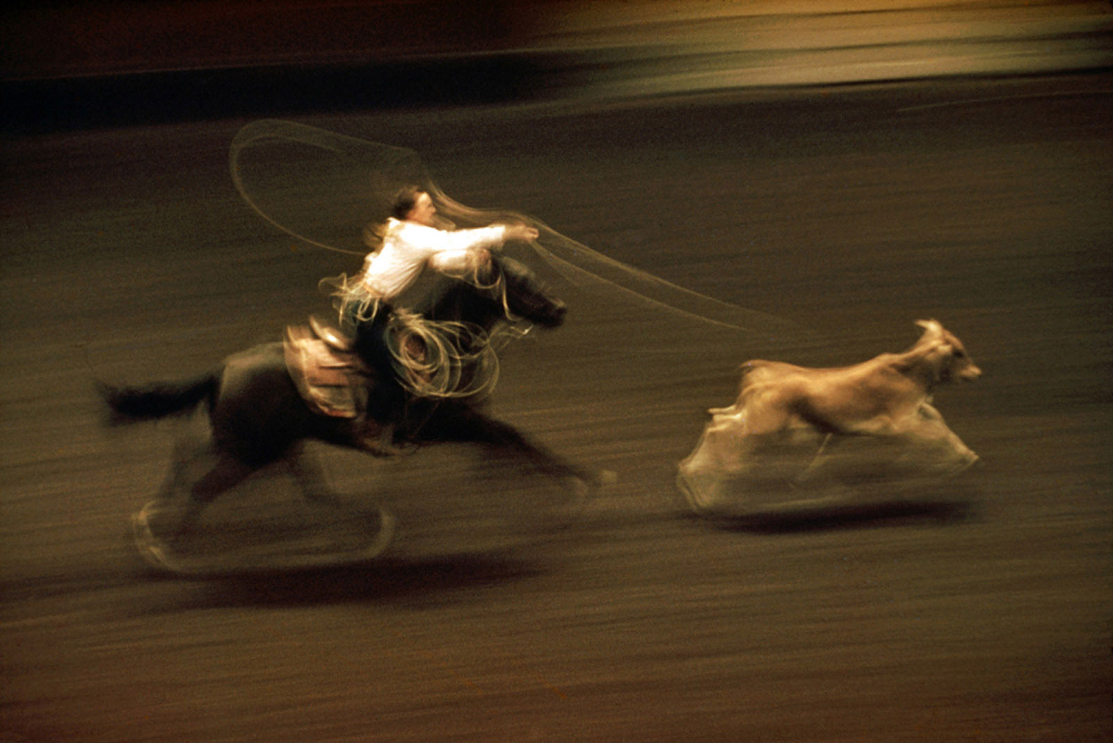 Ernst Haas-Rodeo, Madison Square garden, NYC