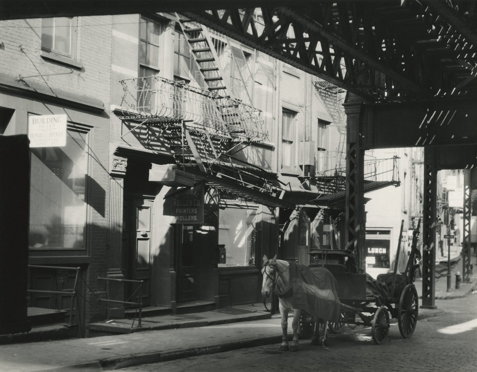 Horse-drawn Carriage, New York, 1930