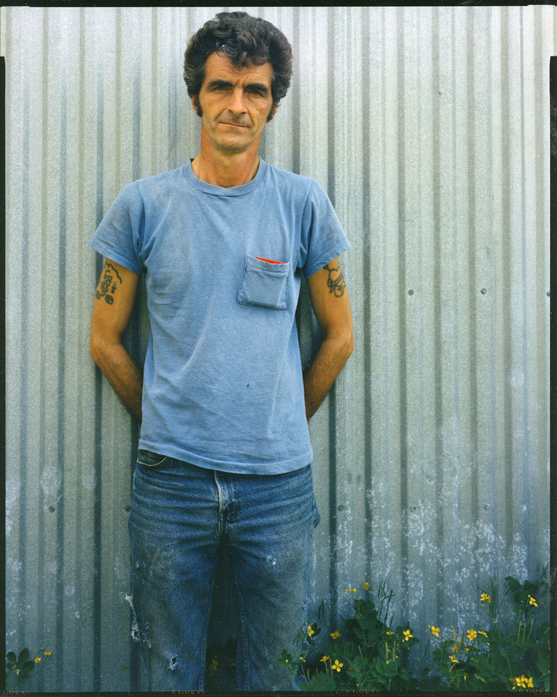 Man with tattoed arms, in blue t-shirt, in front of green corrugated fence, yellow flowers at bottom