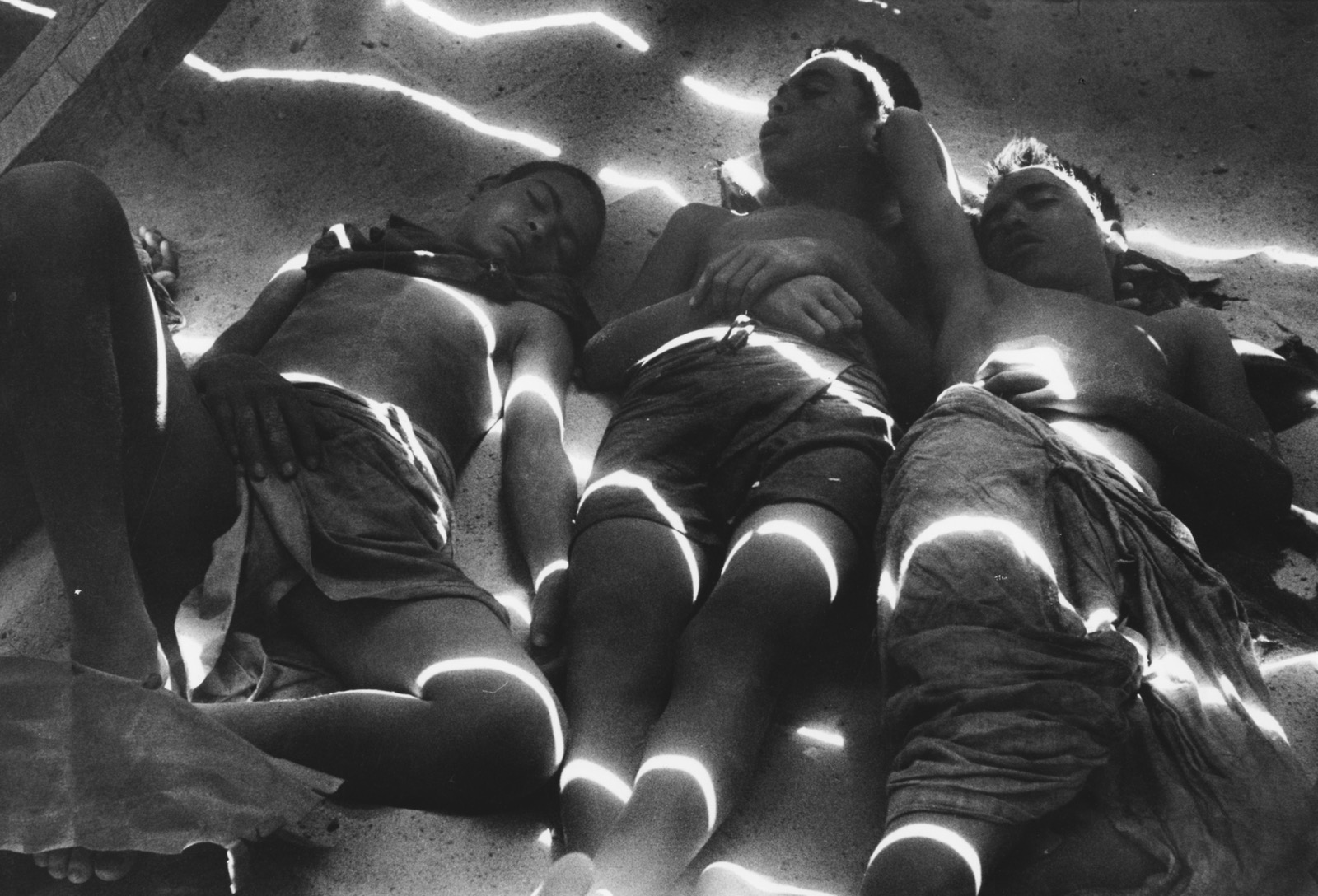 Egyptian Boys, 1954