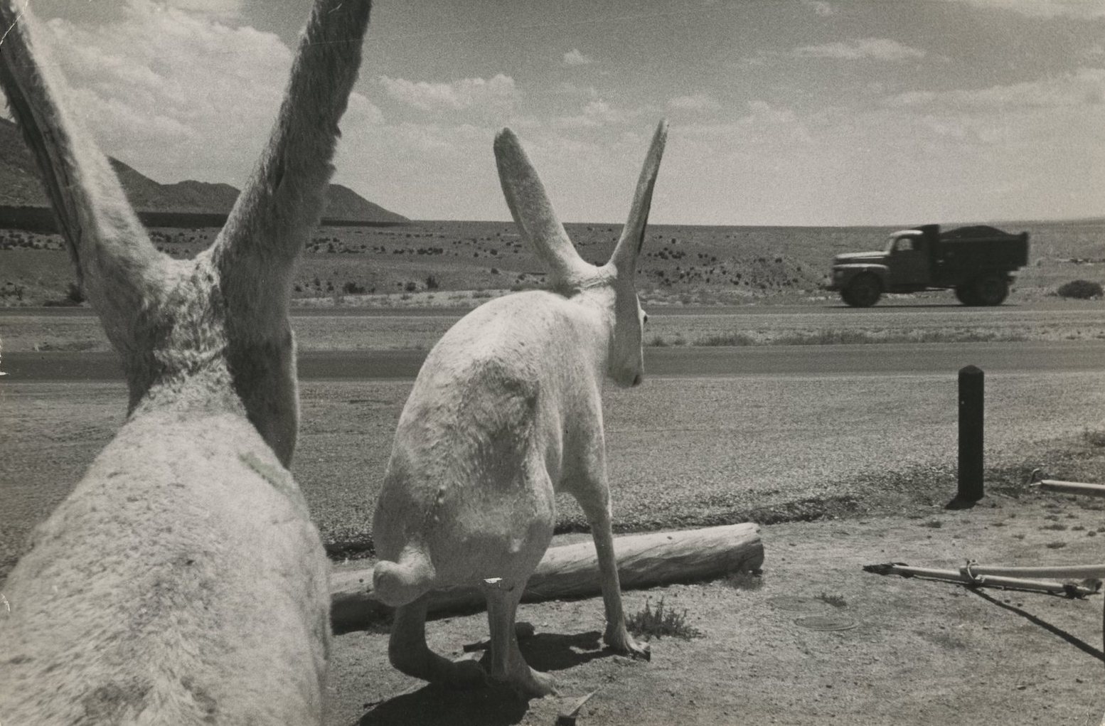 Land of Enchantment, New Mexico, USA, 1952