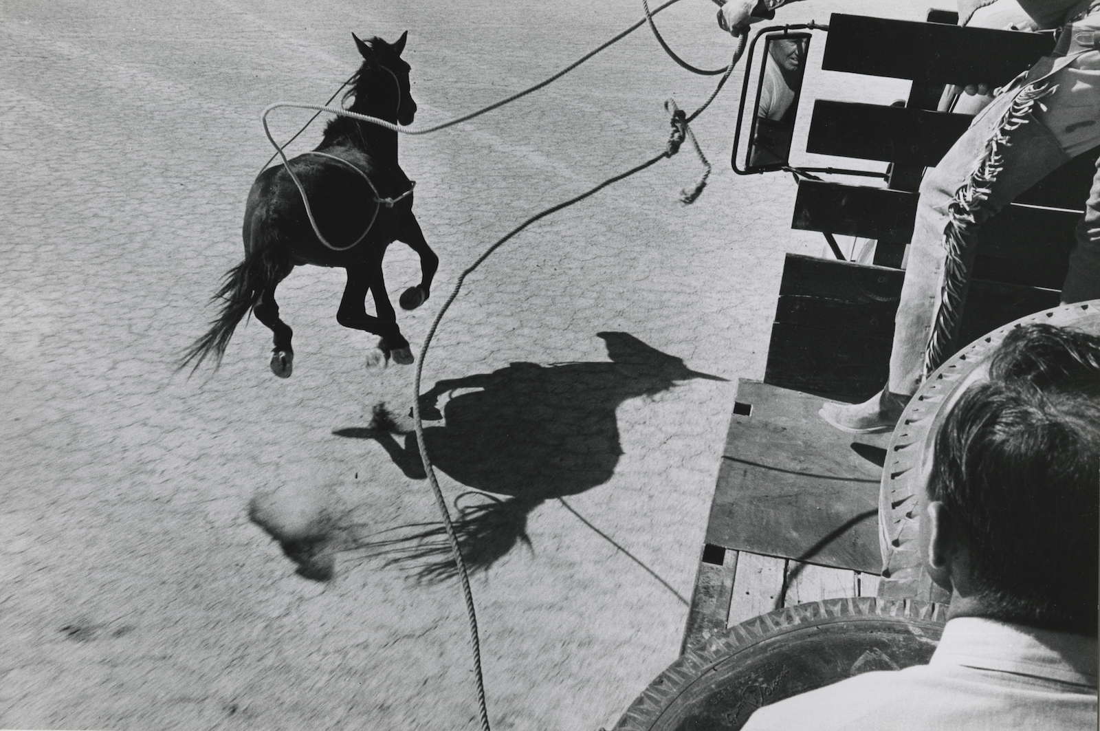 The Misfits, Nevada Desert, 1960