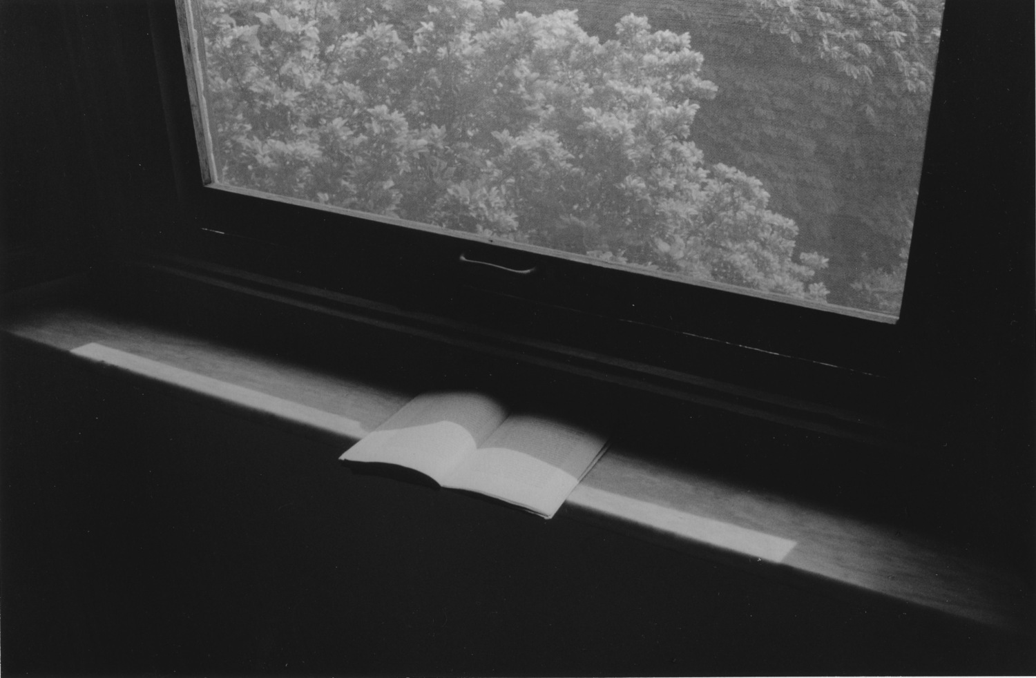 Lecture (livre ouvert/fenêtre), 1979