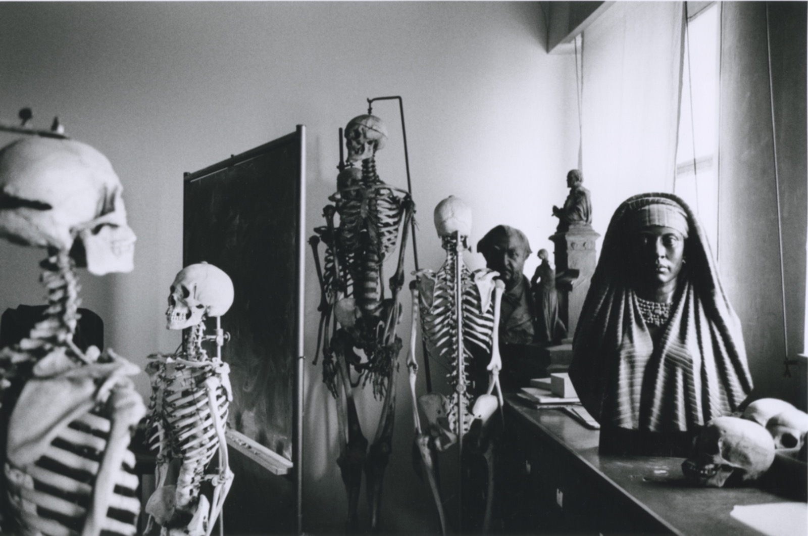Museum d'Histoire Naturelle, Paris, le laboratoire d'anthropologie, 1978