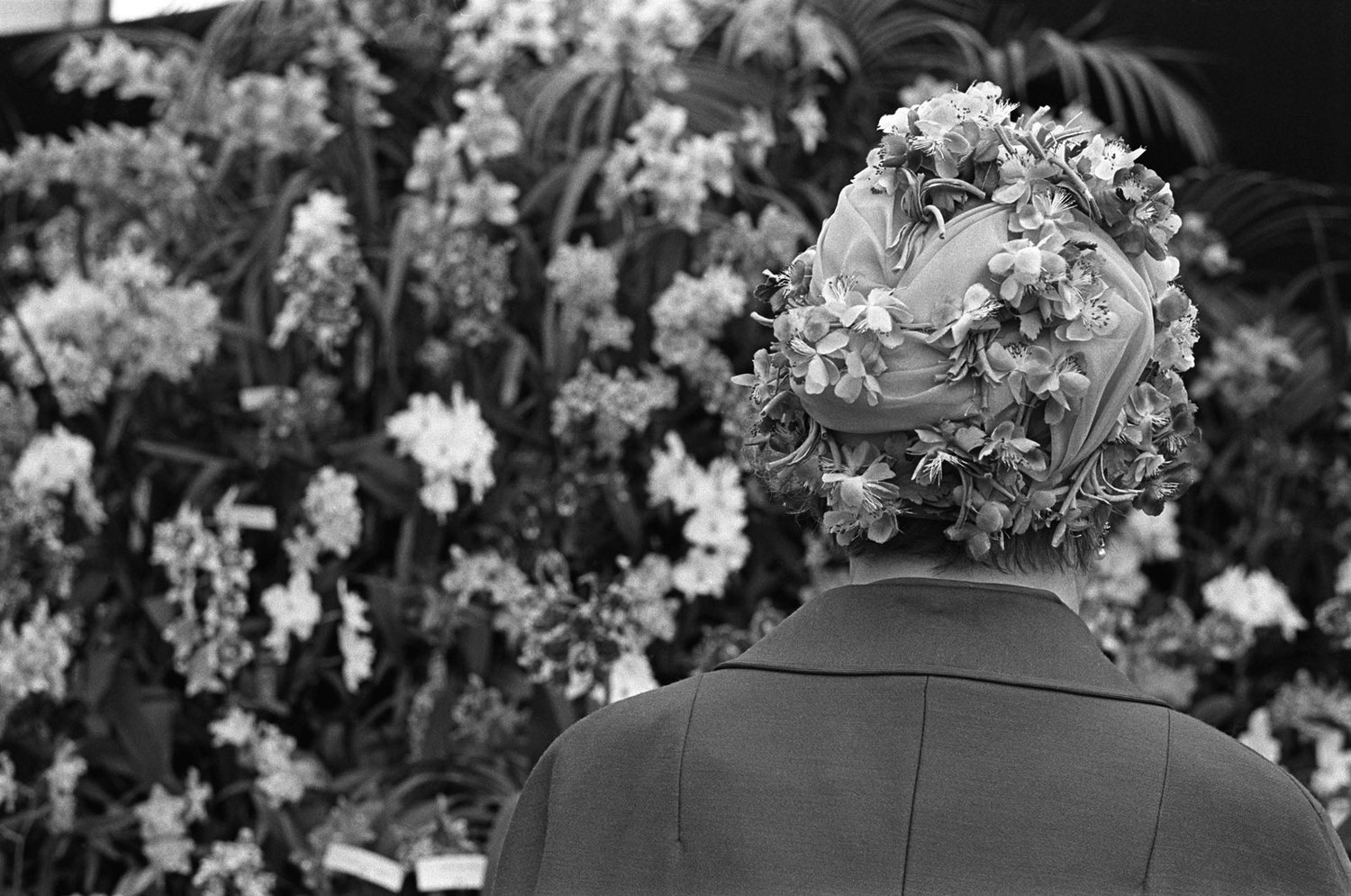 Woman wearing floral fashion hat, Chelsea Flower Show, London, 1968
