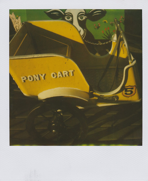Poney cart, Coney Island, 2009