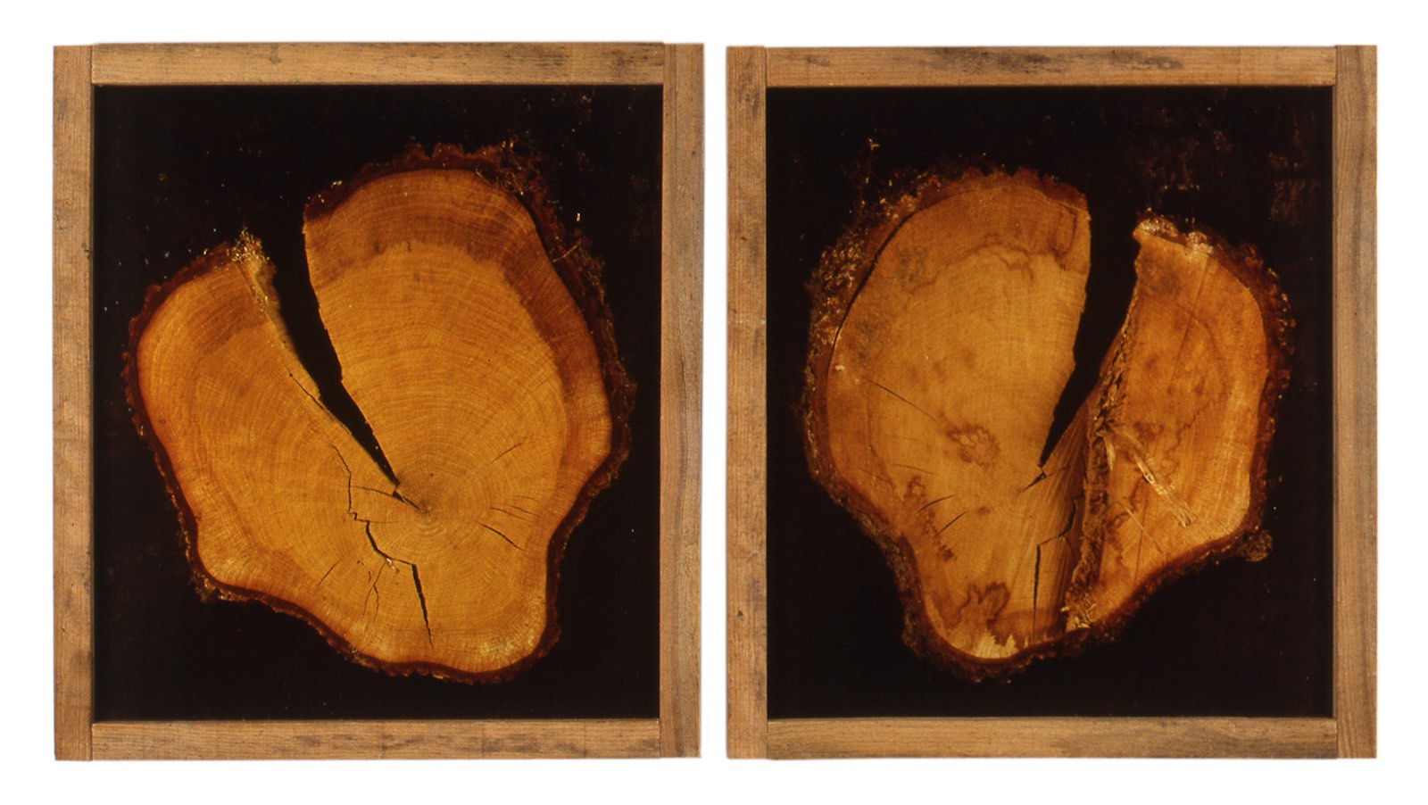 Nature, 2000