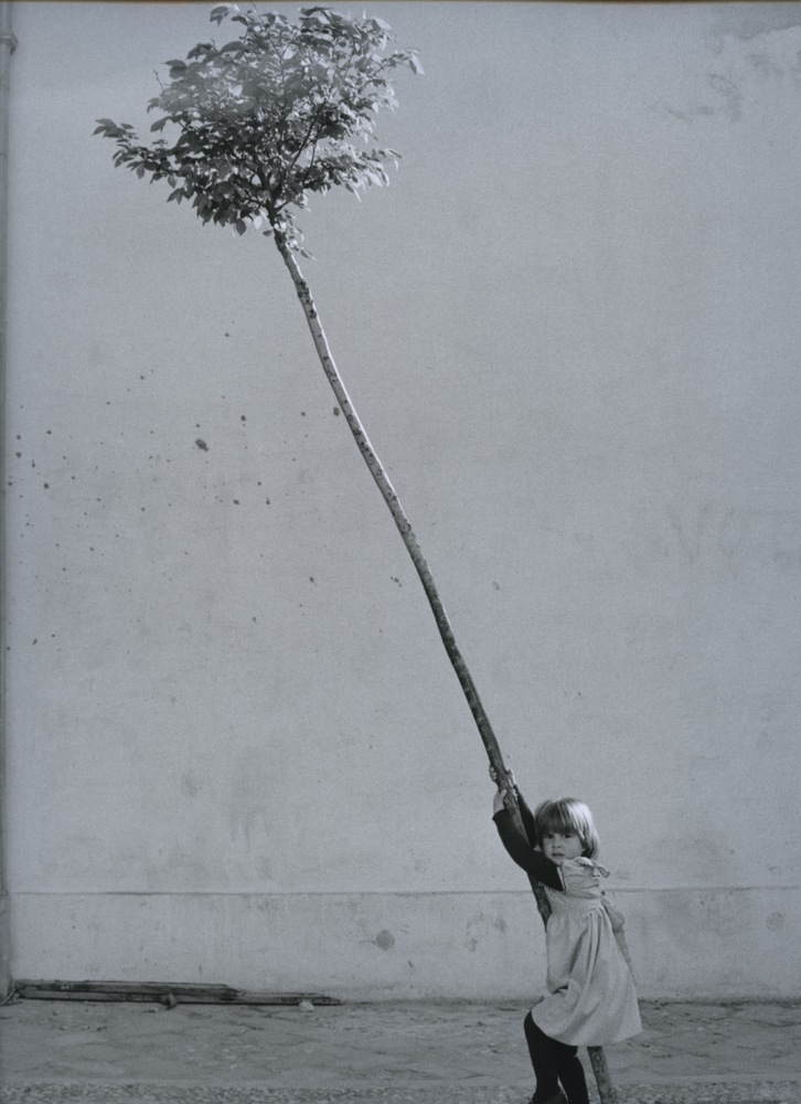 Petite fille, petit arbre, Espagne, 1981