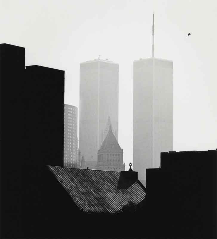 World Trade Center and bird in sky, Lower East Side, New York City, 1988